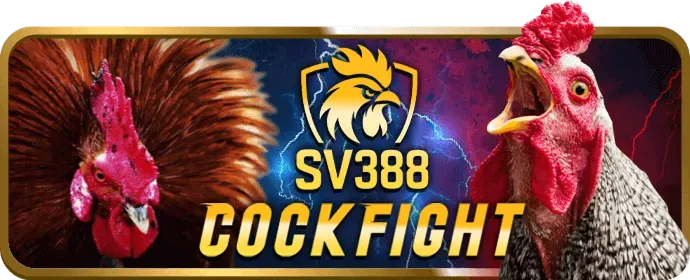 Hình ảnh tổng hợp các môn thể thao phổ biến như bóng đá, bóng rổ, quần vợt và esports trên nền tảng SBOBET Nổ Hũ
