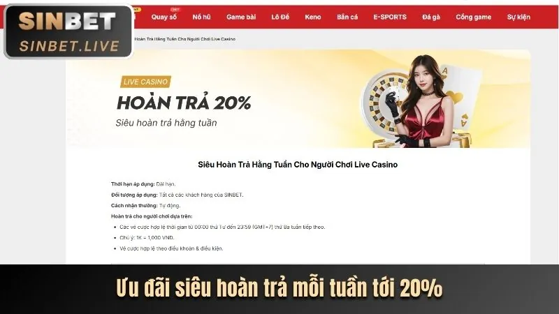 Các loại cookie được sử dụng trên nền tảng sbotop nổ hũ